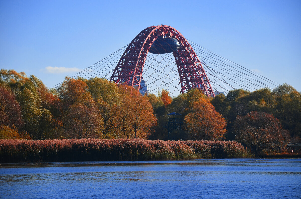 Картинки серебряный бор москва