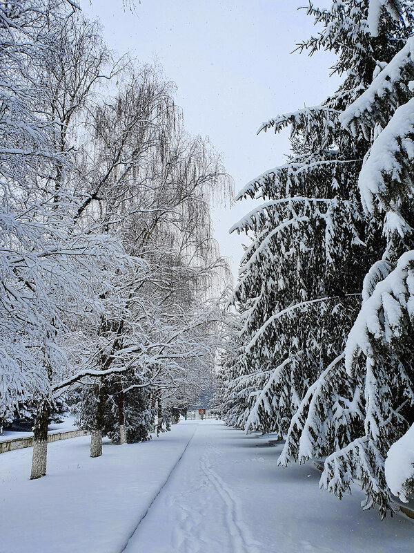 зима в районе... - Батик Табуев