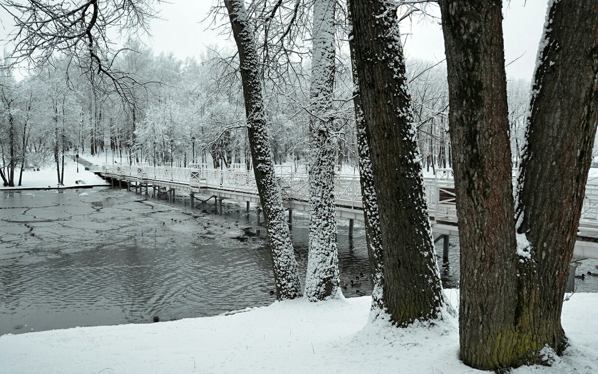 Городской парк после снегопада - Милешкин Владимир Алексеевич 