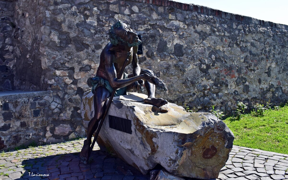 Скульптура кельта-пивовара на территории замка Паланок - Татьяна Ларионова