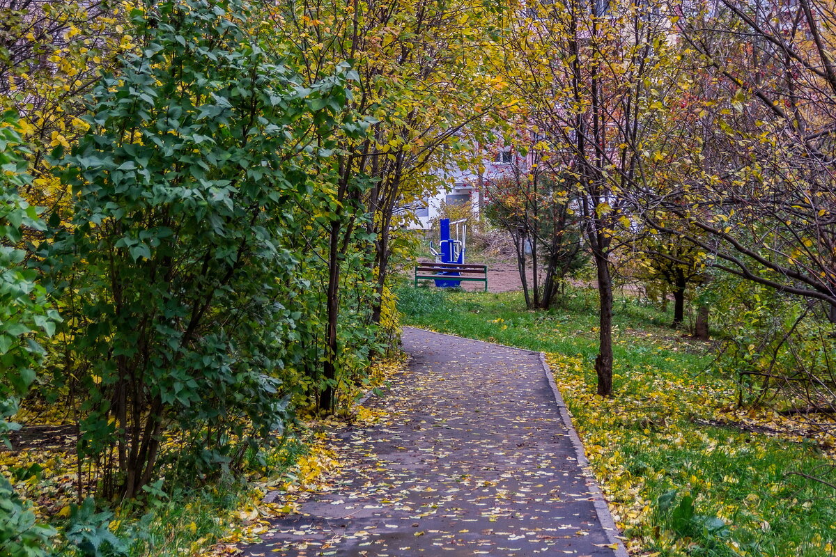 Осенняя картинка - gribushko грибушко Николай