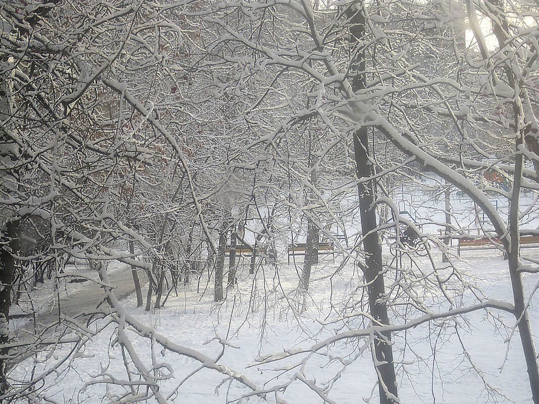 Снежным январьским днем - Елена Семигина