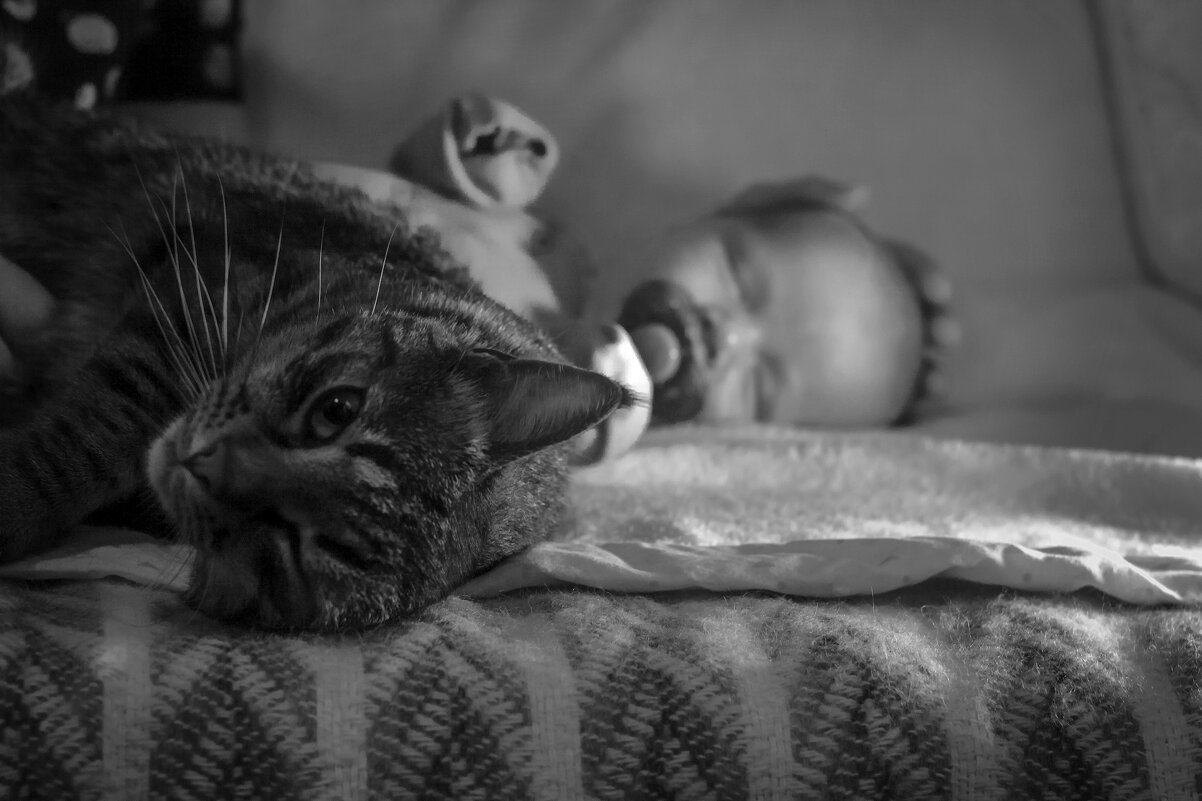 Малыш и кот - Ksenia Sun
