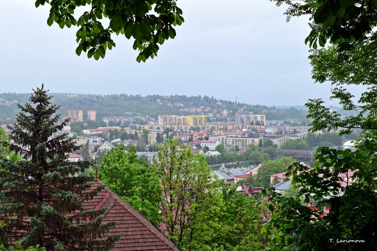 Вид на город Пшемысль с Замковой горы - Татьяна Ларионова