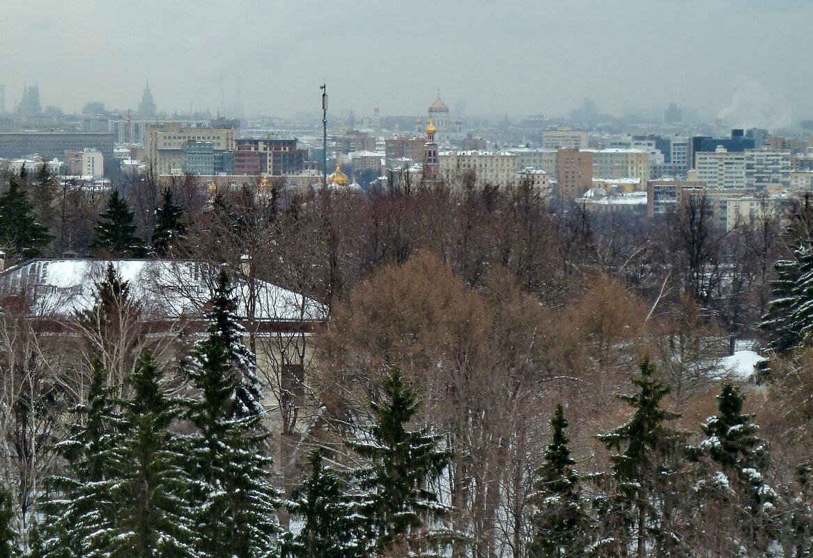 Когда в Москве белеет снег - Александр Чеботарь