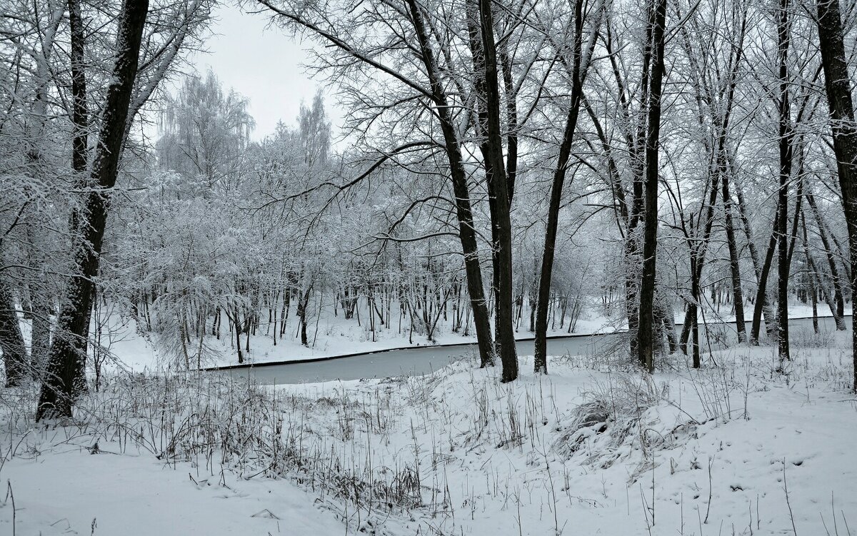 Парк после снегопада. - Милешкин Владимир Алексеевич 