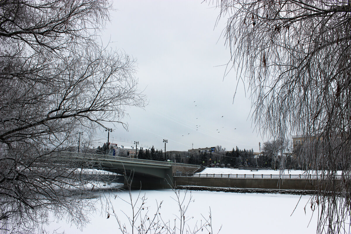 Зима в моём городе( Г. Омск) - раиса Орловская