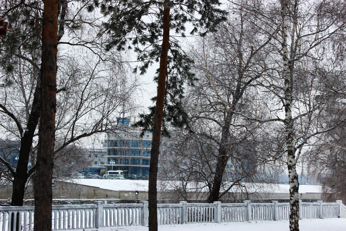 Зима в моём городе(Г. Омск) - раиса Орловская