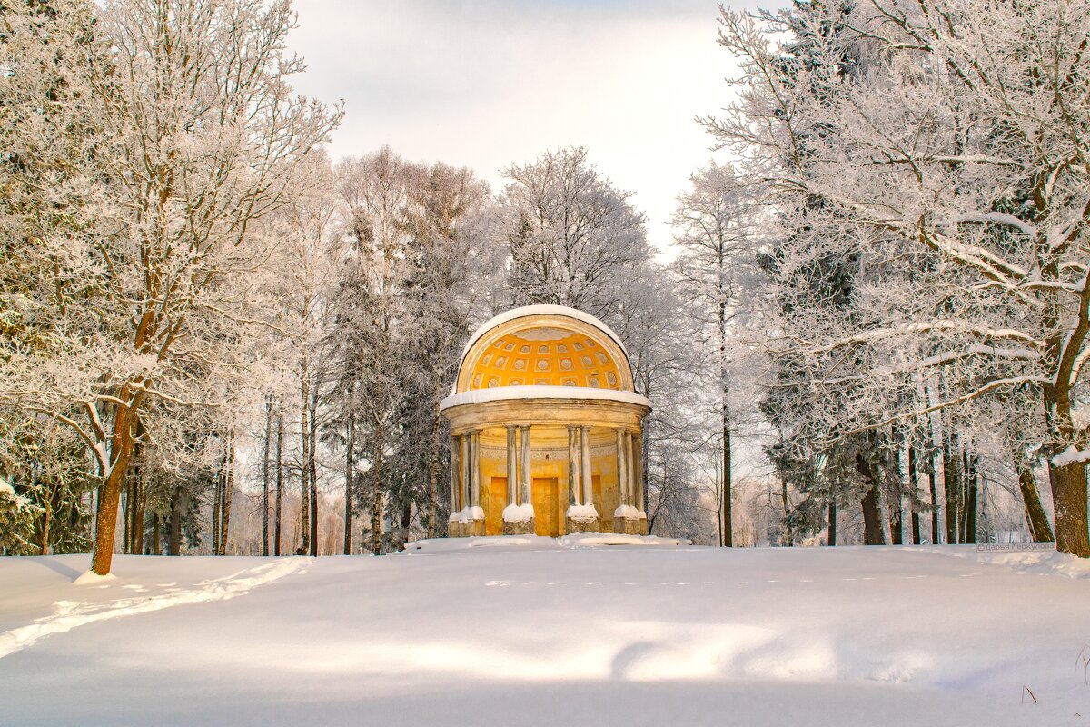 Зимний пейзаж Дворцового парка в Гатчине - Дарья Меркулова