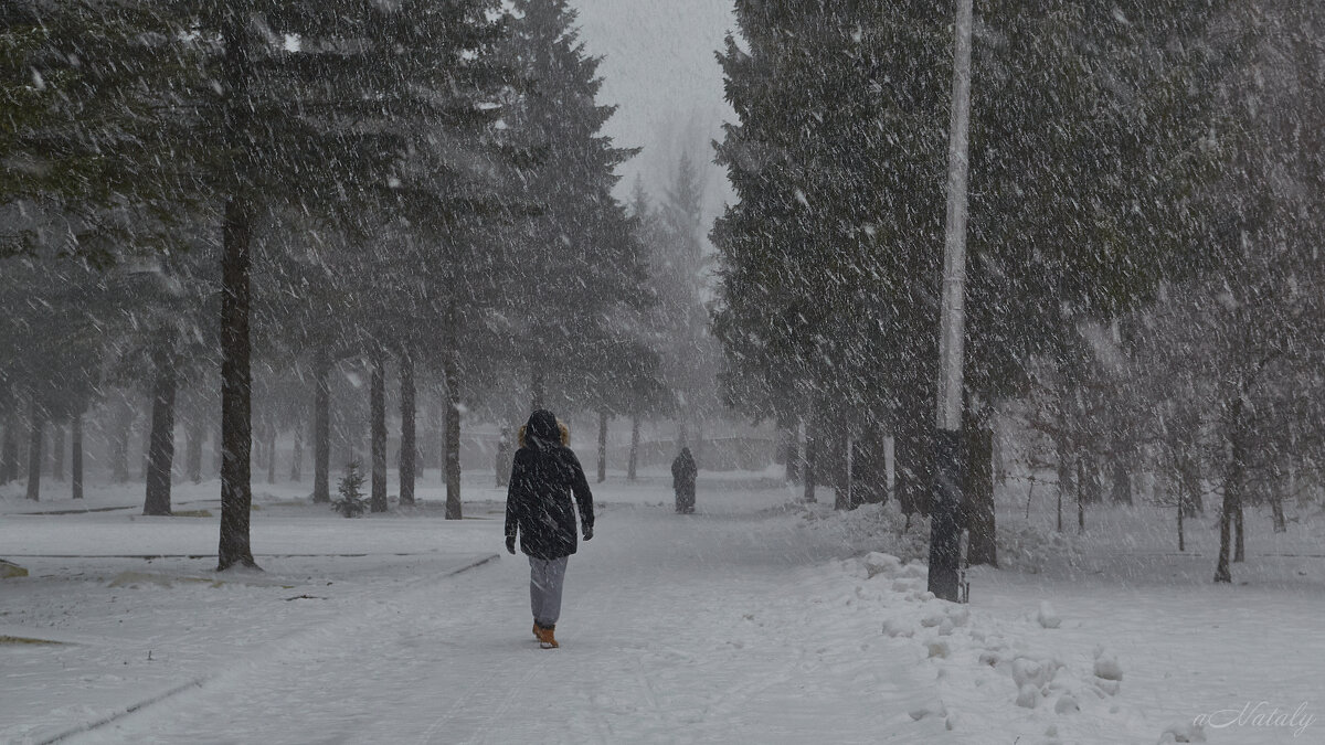 Внезапный снегопад - Натали Зимина