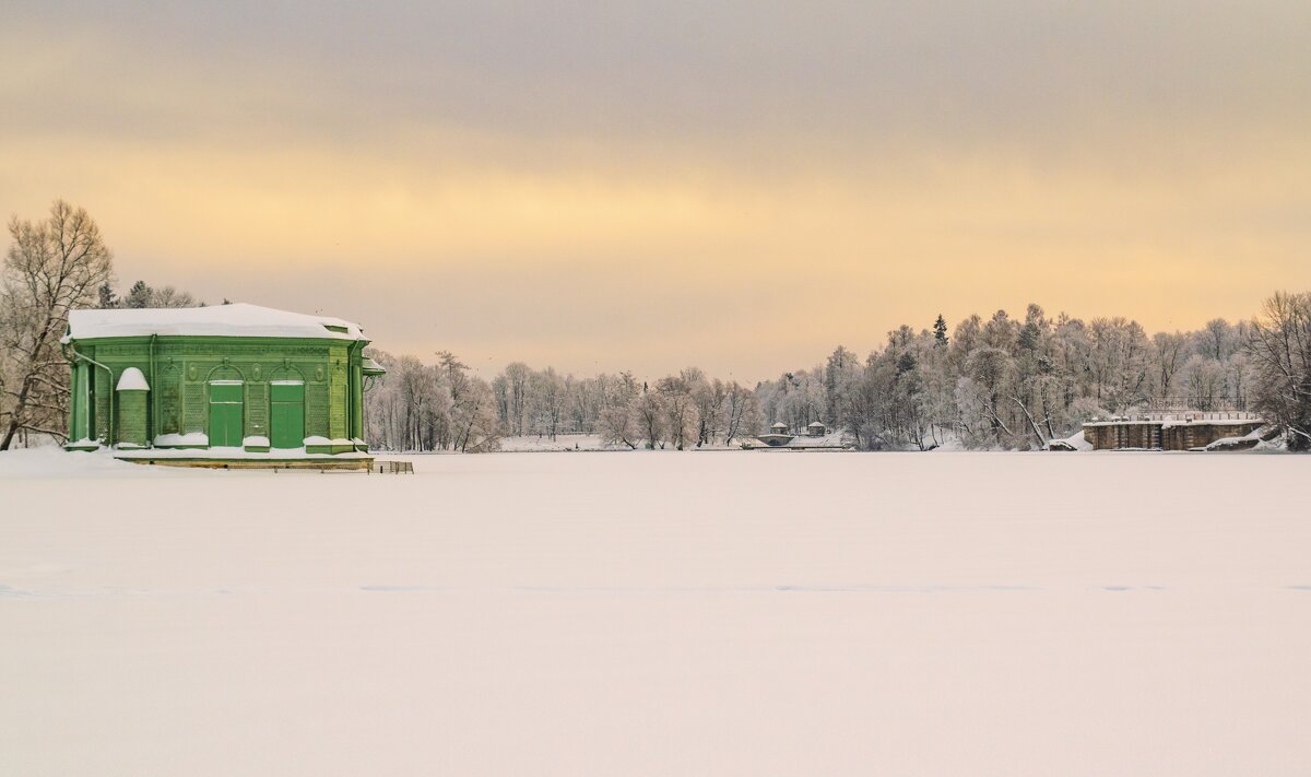 Зимний пейзаж Дворцового парка в Гатчине - Дарья Меркулова