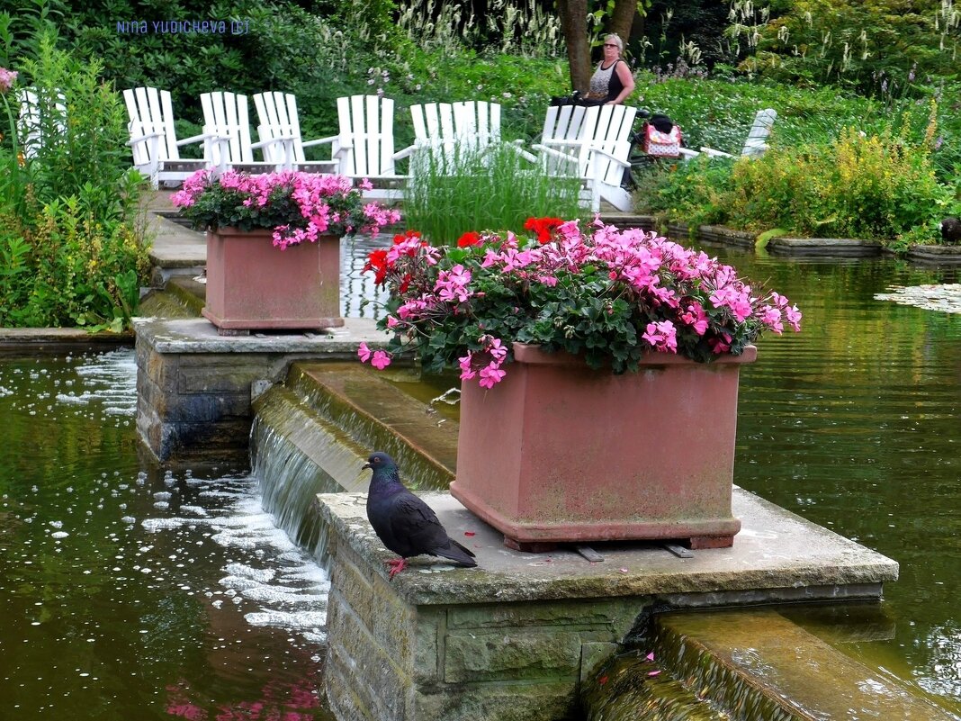 Planten un Blomen Hamburg - Nina Yudicheva