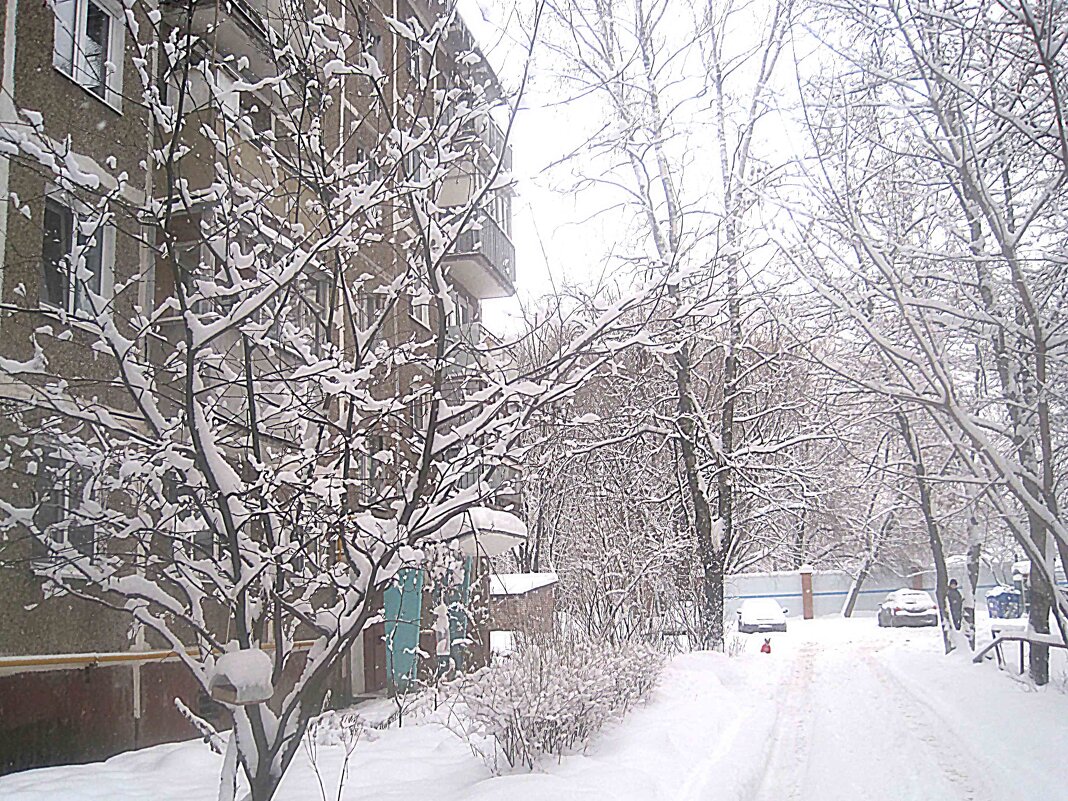 Снежным днем - Елена Семигина