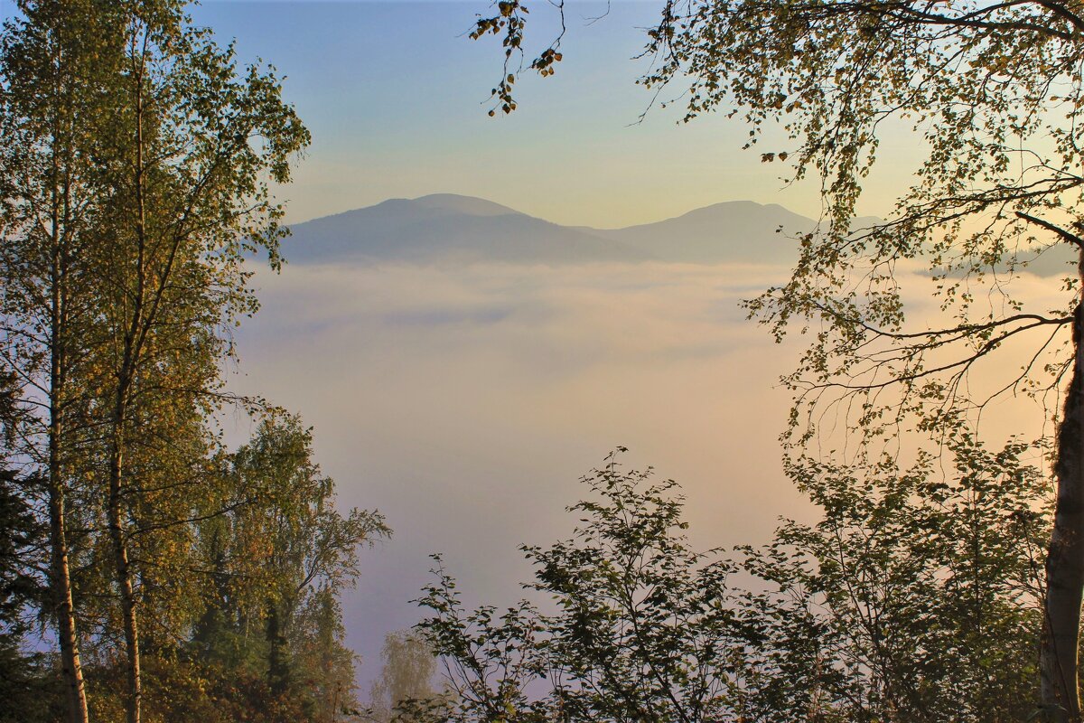 Долина в тумане - Сергей Чиняев 