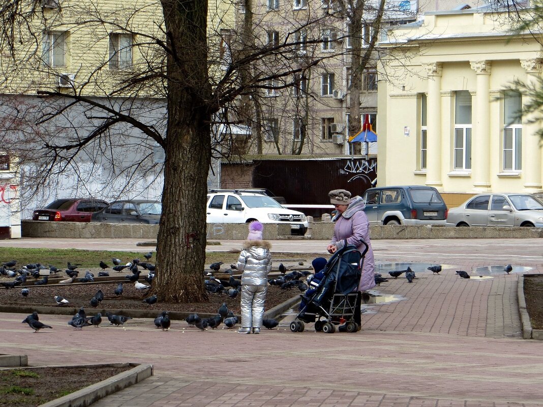 Пушкинский бульвар. Здесь можно кормить голубей - Татьяна Смоляниченко