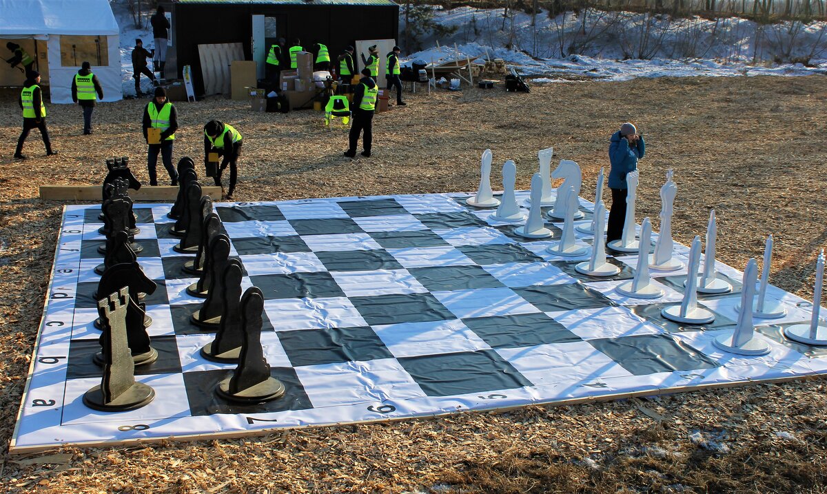 Зимние шахматы - Василий 