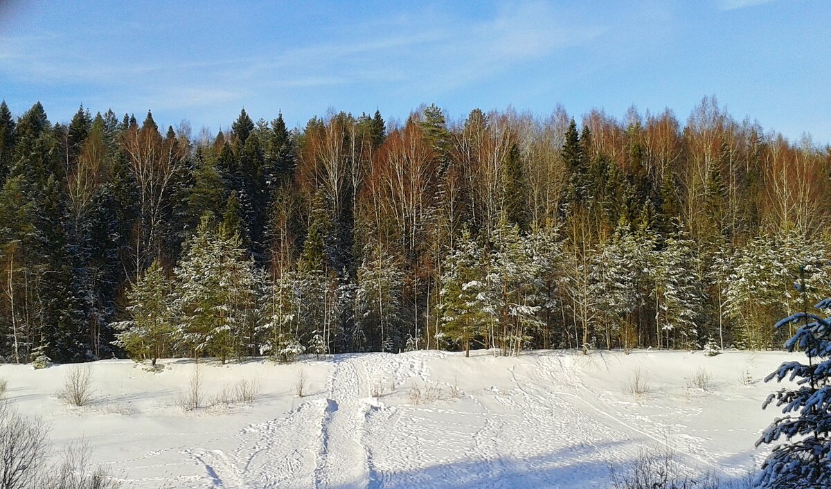 горка для катания - Владимир 