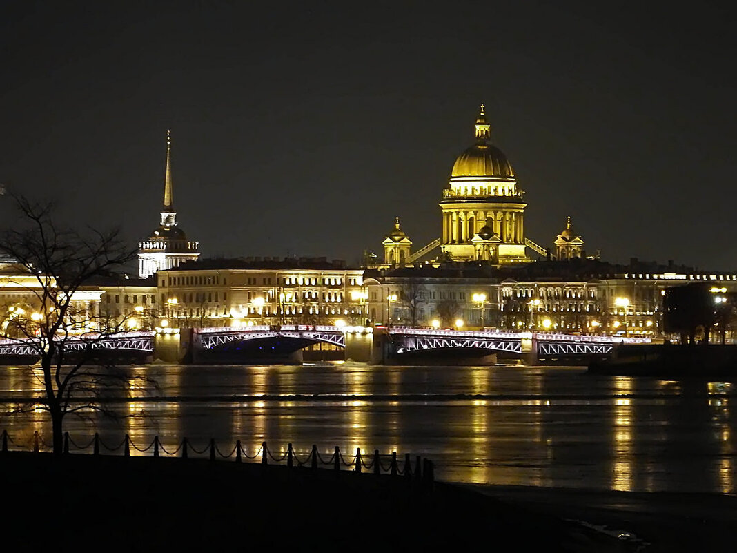 Вид на Неву с Кронверкского моста (Санкт-Петербург) - Ольга И