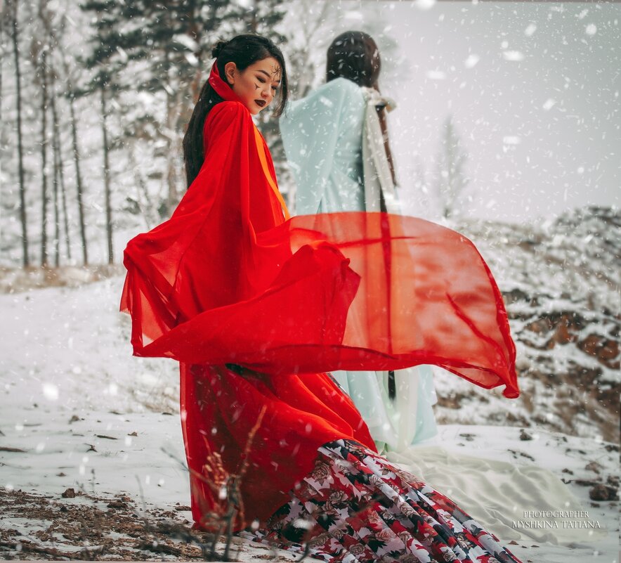 В снегу - Татьяна Мышкина