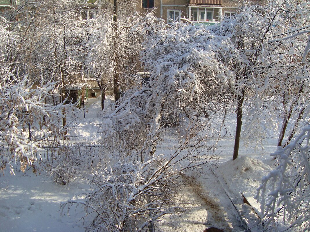 февраль во дворе... - Галина Флора