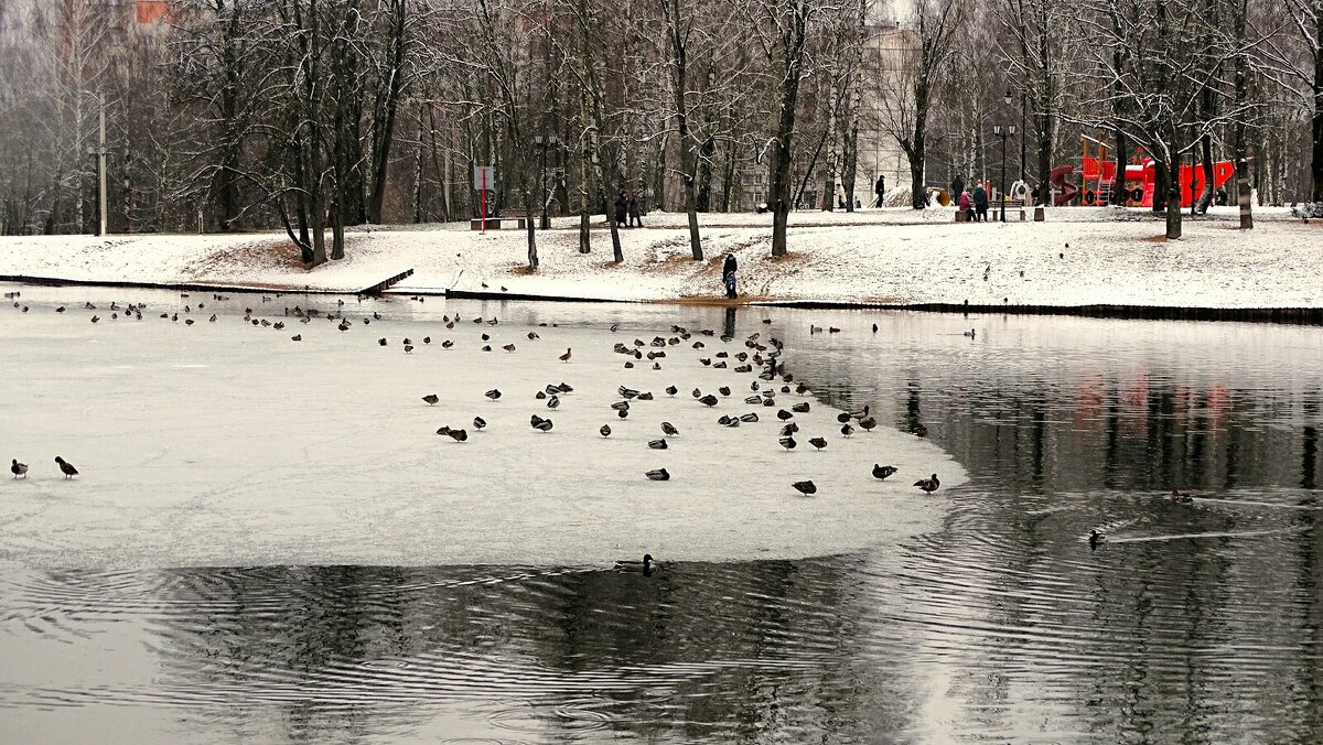 Городской парк в феврале - Милешкин Владимир Алексеевич 