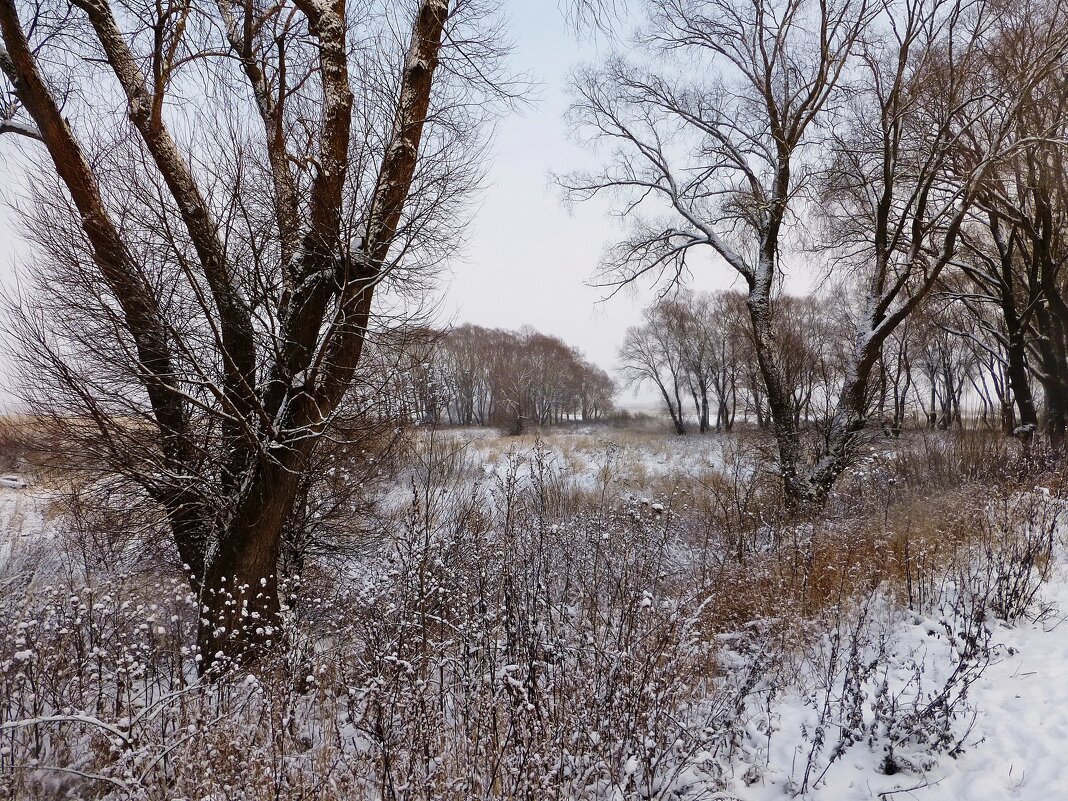 Зимний пейзаж - Лидия Бусурина