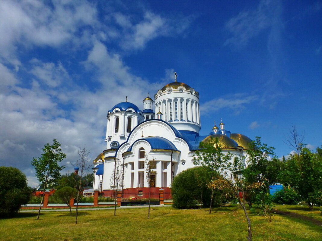 Церковь Собора Московских Святых в Бибирево - Александр Чеботарь