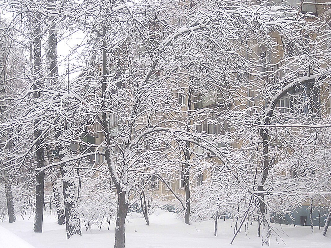 Снежной зимой - Елена Семигина