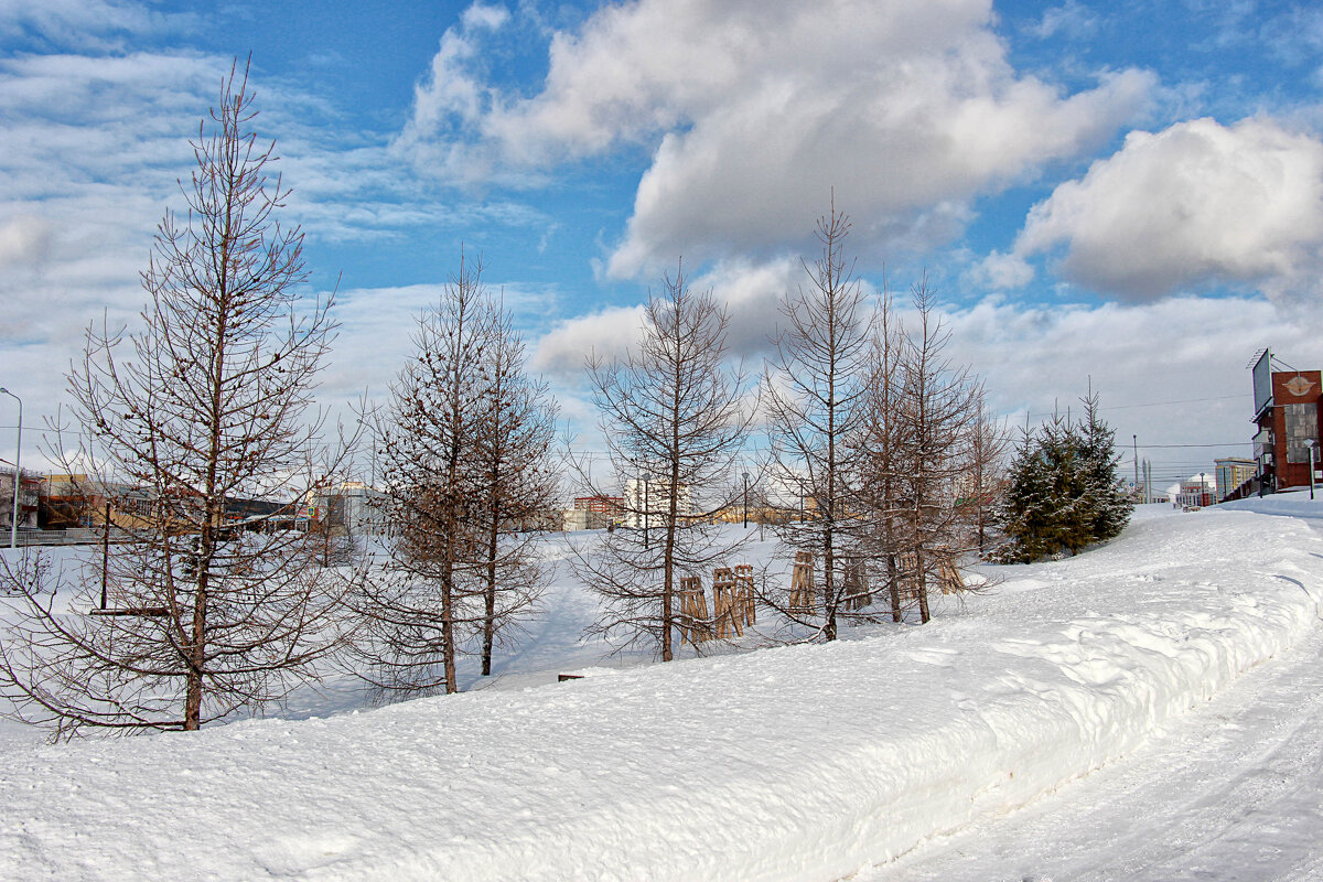 После снегопада (3) - Nina Karyuk
