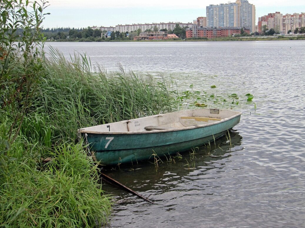 Лодка на озере - Вера Щукина
