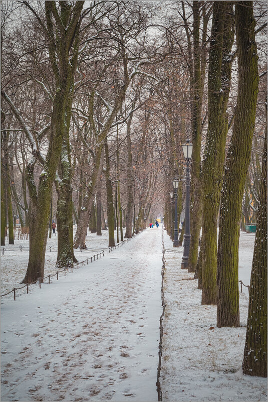 В зимнем парке... - Сергей Кичигин