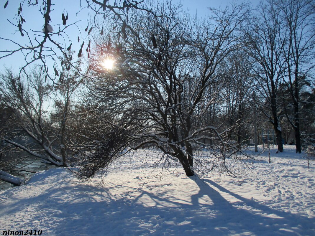 Февраль - Нина Бутко