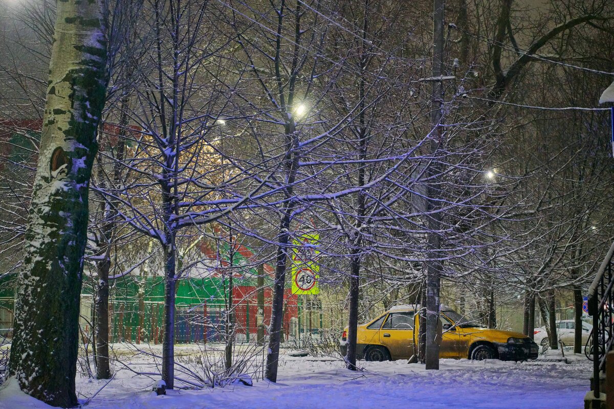 Сон в зимнюю ночь - Константин Бобинский