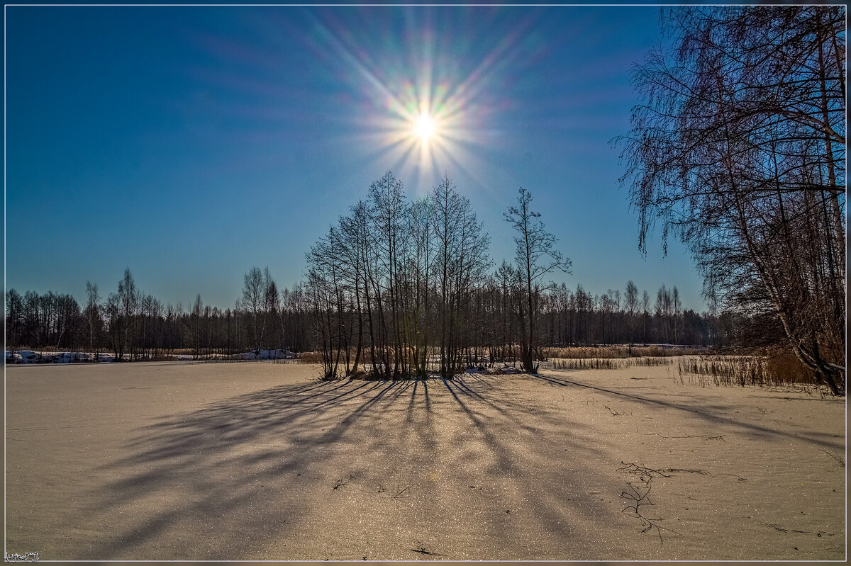 Мороз и Солнце - Андрей Дворников