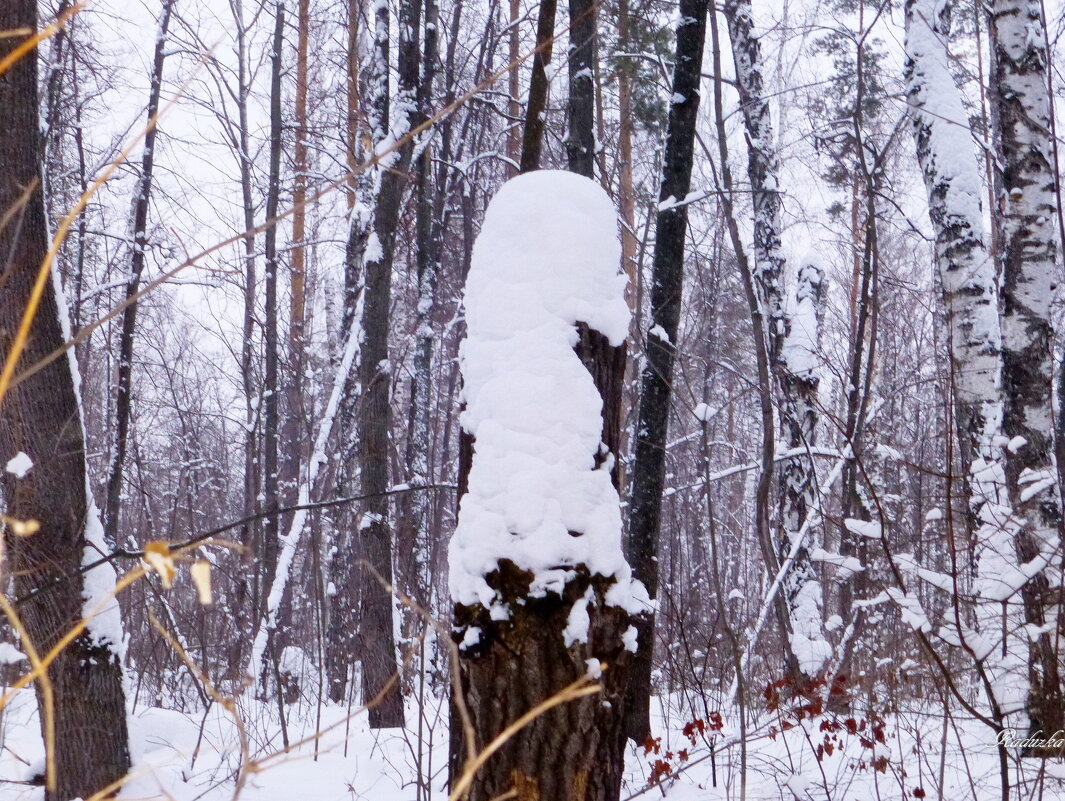 Снежный солдатик - Raduzka (Надежда Веркина)
