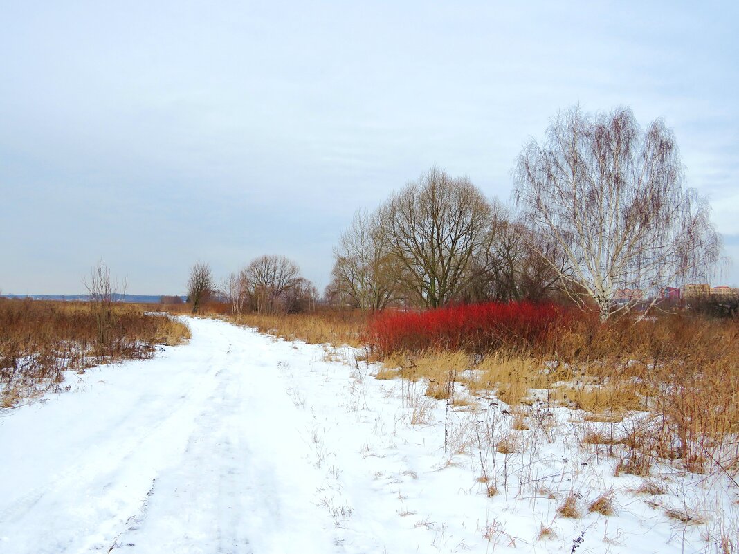 Зимой за городом - Андрей Снегерёв