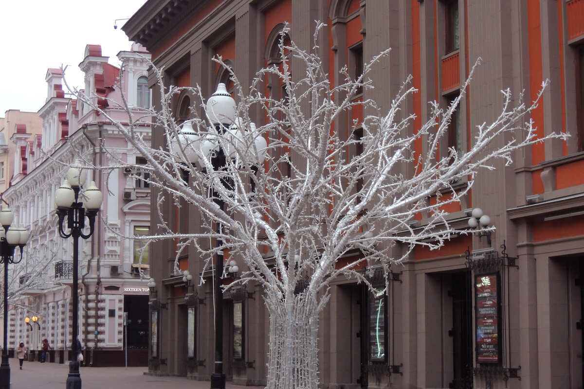 Снежное дерево - Элен Шендо