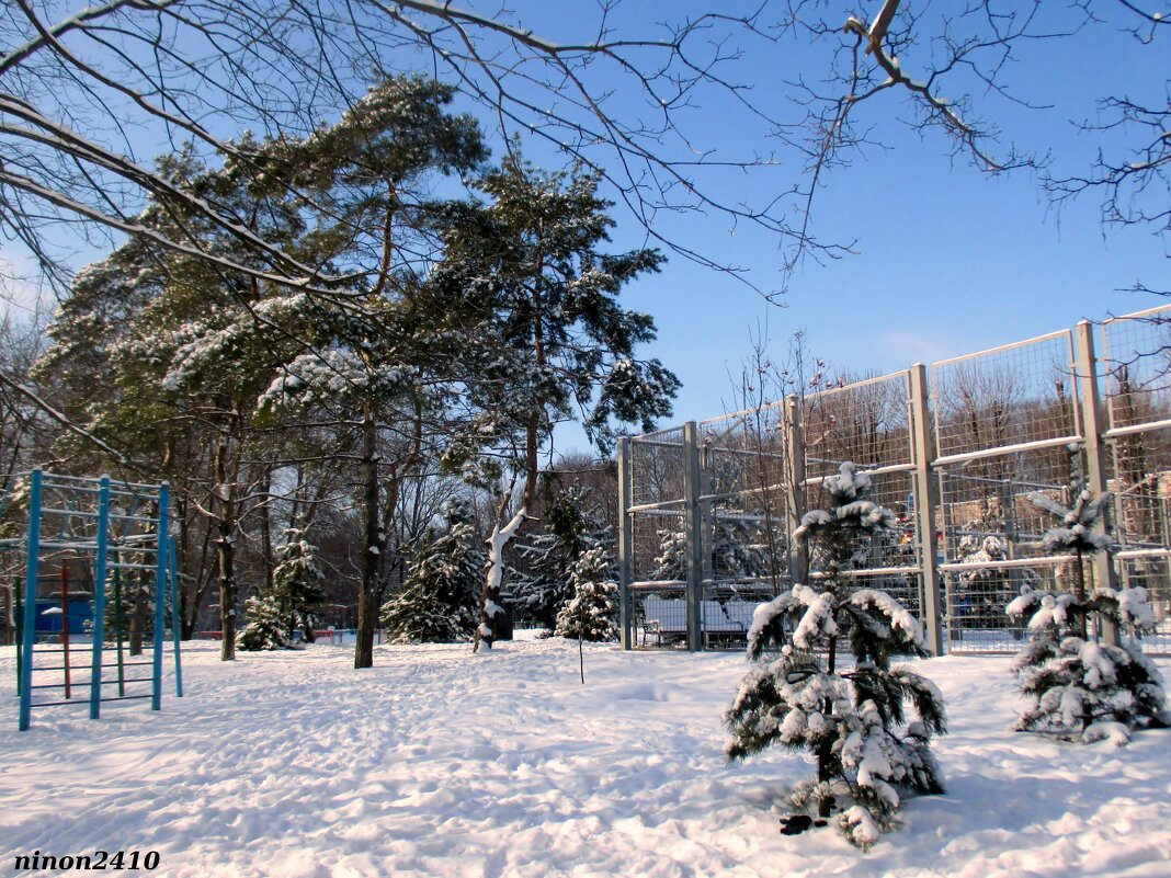 Зима в Ростове - Нина Бутко