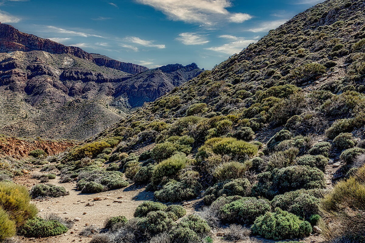 Teide 16 - Arturs Ancans