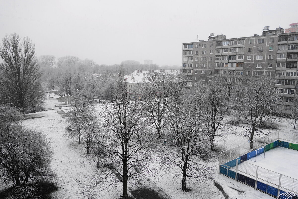 В Калининграде выпал снег, правда, ненадолго - Маргарита Батырева