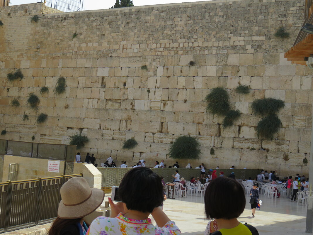 Иерусалим. Западная стена - Герович Лилия 