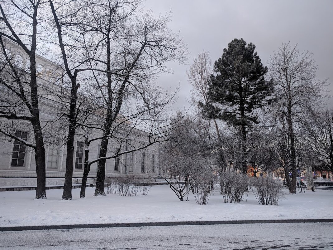 В зимнем парке - Марина Птичка