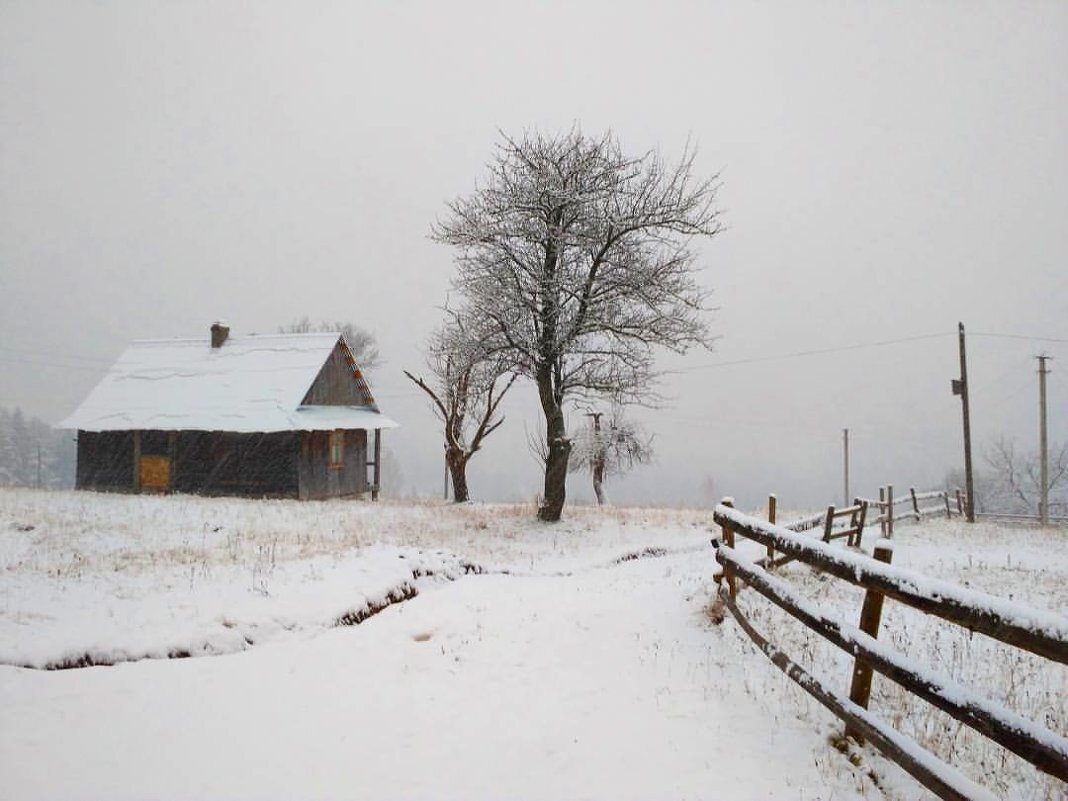 зима в селі - Степан Карачко