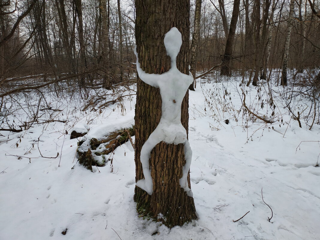 Существует ли снежный человек? - Андрей Лукьянов