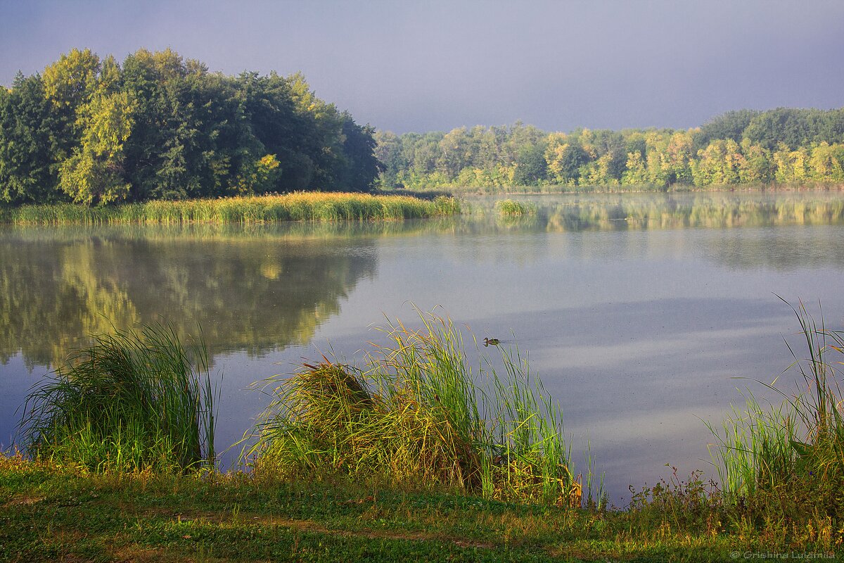Летнее утро на озере. - Людмила 