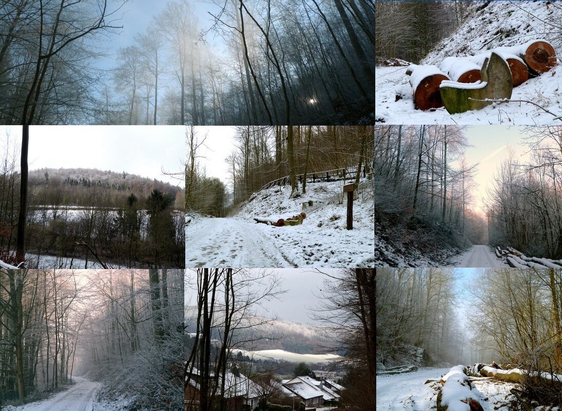 Зима - Heinz Thorns