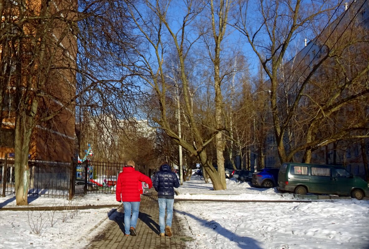 Зимний день - Наталья Цыганова 