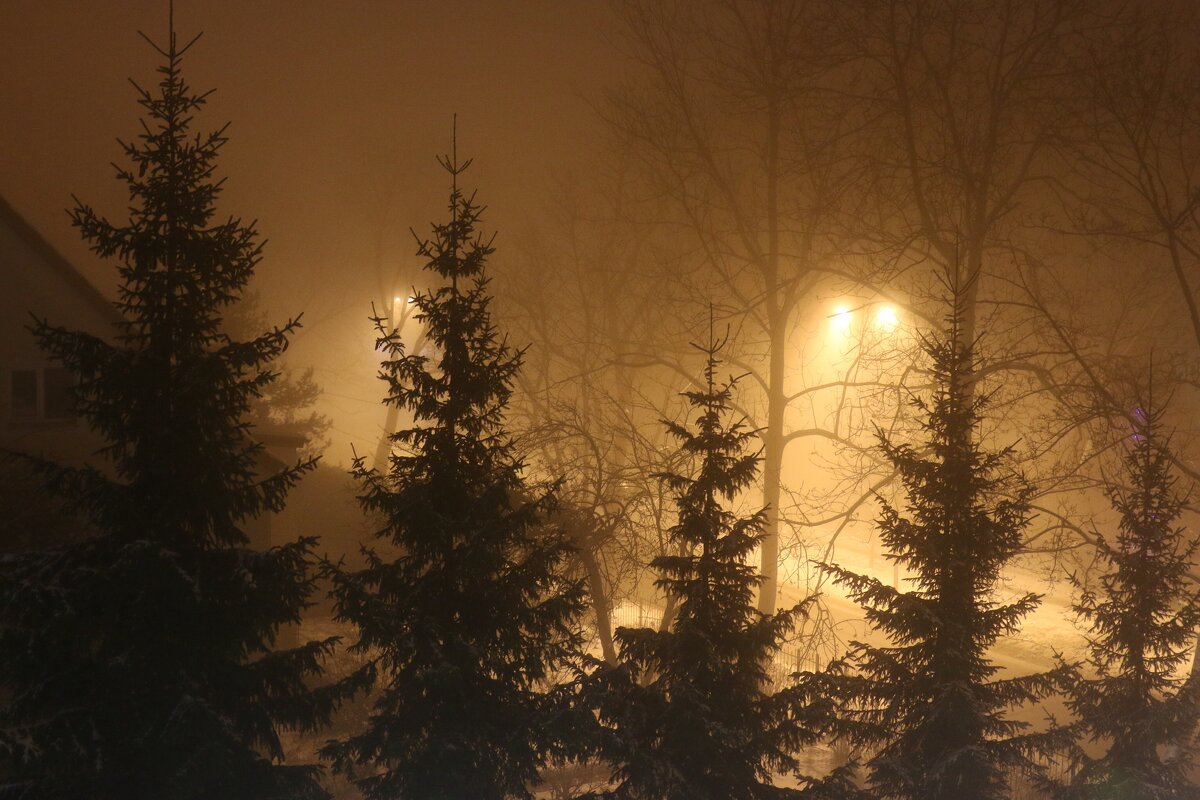 Туманный вечер - Константин Таранов