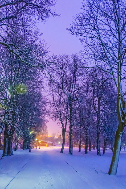 Москва. Коломенское. Февраль. - Игорь Герман