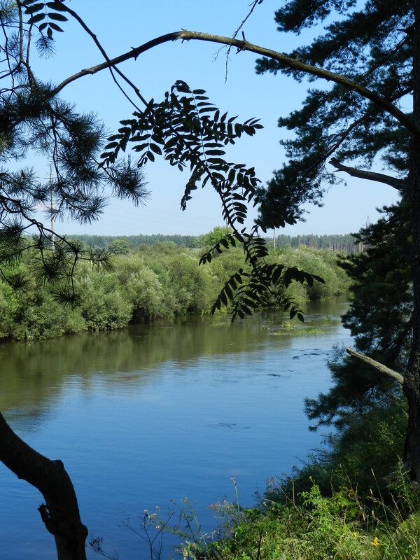 Река Болва - Анатолий Кувшинов